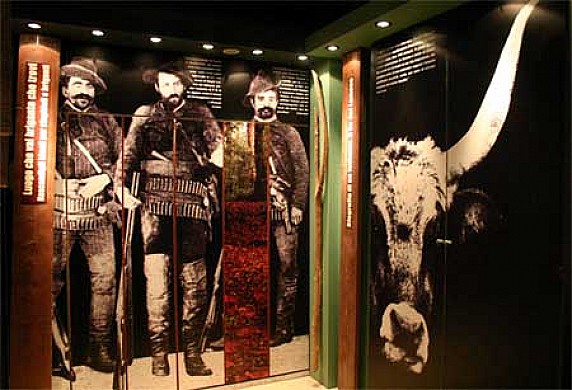 museobrig4 (1)
